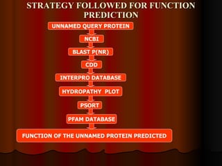 STRATEGY FOLLOWED FOR FUNCTION PREDICTION UNNAMED QUERY PROTEIN NCBI BLAST P(NR) CDD   INTERPRO DATABASE HYDROPATHY  PLOT PFAM DATABASE FUNCTION OF THE UNNAMED PROTEIN PREDICTED PSORT 
