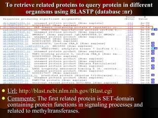 To retrieve related proteins to query protein in different organisms using BLASTP (database :nr) Url:   http:// blast.ncbi.nlm.nih.gov/Blast.cgi Comments:  The first related protein is SET-domain containing protein functions in signaling processes and related to methyltransferases. 