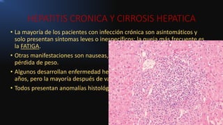HEPATITIS CRONICA Y CIRROSIS HEPATICA
• La mayoría de los pacientes con infección crónica son asintomáticos y
solo presentan síntomas leves o inespecíficos; la queja más frecuente es
la FATIGA.
• Otras manifestaciones son nauseas, mialgias, artralgias, debilidad y
pérdida de peso.
• Algunos desarrollan enfermedad hepática severa después de pocos
años, pero la mayoría después de varias décadas.
• Todos presentan anomalías histológicas
 