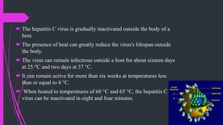  The hepatitis C virus is gradually inactivated outside the body of a
host.
 The presence of heat can greatly reduce the virus's lifespan outside
the body.
 The virus can remain infectious outside a host for about sixteen days
at 25 °C and two days at 37 °C.
 It can remain active for more than six weeks at temperatures less
than or equal to 4 °C.
 When heated to temperatures of 60 °C and 65 °C, the hepatitis C
virus can be inactivated in eight and four minutes.
 