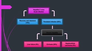 Hepatitis C virus
Acute infection
Recovery and clearance
(15%)
Persistent infection (85%)
Chronic hepatitis
Liver failure (6%) Cirrhosis (20%)
Hepatocellular
carcinoma (4%)
 