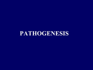 PATHOGENESIS
 