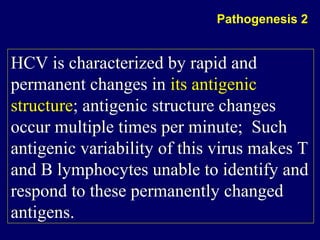 HCV is characterized by rapid and
permanent changes in its antigenic
structure; antigenic structure changes
occur multiple times per minute; Such
antigenic variability of this virus makes T
and B lymphocytes unable to identify and
respond to these permanently changed
antigens.
HCV is characterized by rapid and
permanent changes in its antigenic
structure; antigenic structure changes
occur multiple times per minute; Such
antigenic variability of this virus makes T
and B lymphocytes unable to identify and
respond to these permanently changed
antigens.
Pathogenesis 2
 