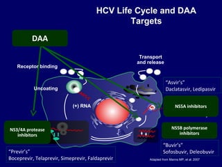 HCV Life Cycle and DAA
Targets
Adapted from Manns MP, et al. 2007
Transport
and release
(+) RNA
Translation
and
polyprotein
processing
RNA replication
Virion
assembly
NS3/4A protease
inhibitors
NS5B polymerase
inhibitors
NS5A inhibitors
“Previr’s”
Boceprevir, Telaprevir, Simeprevir, Faldaprevir
“Buvir’s”
Sofosbuvir, Deleobuvir
“Asvir’s”
Daclatasvir, Ledipasvir
DAA
Uncoating
Receptor binding
 