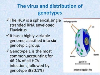The virus and distribution of
genotypes
The HCV is a spherical,single
stranded RNA enveloped
Flavivirus.
It has a highly variable
genome,classified into six
genotypic group.
Genotype 1 is the most
common,accounting for
46.2% of all HCV
infections,followed by
genotype 3(30.1%)
 