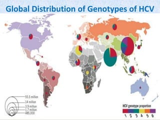 Global Distribution of Genotypes of HCV
 