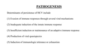 PATHOGENESIS
Determinants of persistence of HCV include
(1) Evasion of immune responses through several viral mechanisms
(2) Inadequate induction of the innate immune response
(3) Insufficient induction or maintenance of an adaptive immune response
(4) Production of viral quasispecies
(5) Induction of immunologic tolerance or exhaustion
 