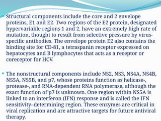  Structural components include the core and 2 envelope
proteins, E1 and E2. Two regions of the E2 protein, designated
hypervariable regions 1 and 2, have an extremely high rate of
mutation, thought to result from selective pressure by virus-
specific antibodies. The envelope protein E2 also contains the
binding site for CD-81, a tetraspanin receptor expressed on
hepatocytes and B lymphocytes that acts as a receptor or
coreceptor for HCV.
 The nonstructural components include NS2, NS3, NS4A, NS4B,
NS5A, NS5B, and p7, whose proteins function as helicase-,
protease-, and RNA-dependent RNA polymerase, although the
exact function of p7 is unknown. One region within NS5A is
linked to an interferon (IFN) response and is called the IFN
sensitivity–determining region. These enzymes are critical in
viral replication and are attractive targets for future antiviral
therapy.
 