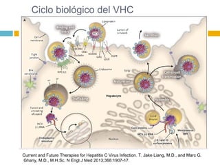 Ciclo biológico del VHC
Current and Future Therapies for Hepatitis C Virus Infection. T. Jake Liang, M.D., and Marc G.
Ghany, M.D., M.H.Sc. N Engl J Med 2013;368:1907-17.
 