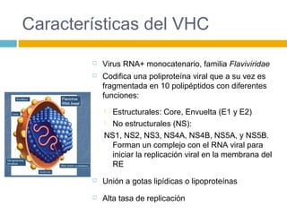 Características del VHC
 Virus RNA+ monocatenario, familia Flaviviridae
 Codifica una poliproteína viral que a su vez es
fragmentada en 10 polipéptidos con diferentes
funciones:
 Estructurales: Core, Envuelta (E1 y E2)
 No estructurales (NS):
NS1, NS2, NS3, NS4A, NS4B, NS5A, y NS5B.
Forman un complejo con el RNA viral para
iniciar la replicación viral en la membrana del
RE
 Unión a gotas lipídicas o lipoproteínas
 Alta tasa de replicación
 