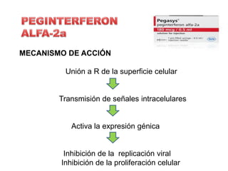 MECANISMO DE ACCIÓN

         Unión a R de la superficie celular


        Transmisión de señales intracelulares


           Activa la expresión génica


         Inhibición de la replicación viral
        Inhibición de la proliferación celular
 