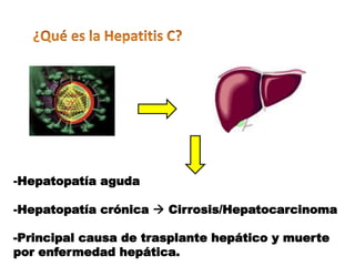 -Hepatopatía aguda

-Hepatopatía crónica  Cirrosis/Hepatocarcinoma

-Principal causa de trasplante hepático y muerte
por enfermedad hepática.
 