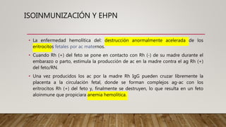 ISOINMUNIZACIÓN Y EHPN
• La enfermedad hemolítica del: destrucción anormalmente acelerada de los
eritrocitos fetales por ac maternos.
• Cuando Rh (+) del feto se pone en contacto con Rh (-) de su madre durante el
embarazo o parto, estimula la producción de ac en la madre contra el ag Rh (+)
del feto/RN.
• Una vez producidos los ac por la madre Rh IgG pueden cruzar libremente la
placenta a la circulación fetal, donde se forman complejos ag-ac con los
eritrocitos Rh (+) del feto y, finalmente se destruyen, lo que resulta en un feto
aloinmune que propiciara anemia hemolítica.
 