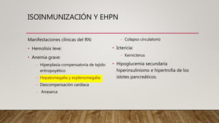 ISOINMUNIZACIÓN Y EHPN
Manifestaciones clínicas del RN:
• Hemolisis leve:
• Anemia grave:
- Hiperplasia compensatoria de tejido
eritropoyético
- Hepatomegalia y esplenomegalia
- Descompensación cardíaca
- Anasarca
- Colapso circulatorio
• Ictericia:
- Kernicterus
• Hipoglucemia secundaría
hiperinsulinismo e hipertrofia de los
islotes pancreáticos.
 