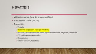 HEPATITIS B
• VHB sobrevivencia fuera del organismo (7días)
• P incubación: 75 días (30-180)
• Transmisión:
o Perinatal
o Horizontal (exposición a sangre infectada)
o Mucosas y fluidos corporales: saliva; líquidos menstruales, vaginales y seminales.
o ETS, múltiples parejas sexuales
o Drogadicción
o Entorno sanitario, hospitales
 