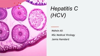 Hepatitis C
(HCV)
Mohsin Ali
MSc Medical Virology
Jamia Hamdard
 