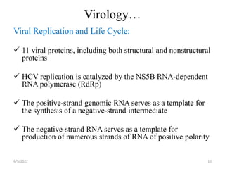 Virology…
Viral Replication and Life Cycle:
 11 viral proteins, including both structural and nonstructural
proteins
 HCV replication is catalyzed by the NS5B RNA-dependent
RNA polymerase (RdRp)
 The positive-strand genomic RNA serves as a template for
the synthesis of a negative-strand intermediate
 The negative-strand RNA serves as a template for
production of numerous strands of RNA of positive polarity
6/9/2022 10
 