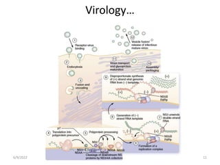 Virology…
6/9/2022 11
 