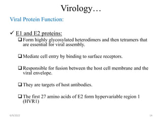 Virology…
Viral Protein Function:
 E1 and E2 proteins:
Form highly glycosylated heterodimers and then tetramers that
are essential for viral assembly.
Mediate cell entry by binding to surface receptors.
Responsible for fusion between the host cell membrane and the
viral envelope.
They are targets of host antibodies.
The first 27 amino acids of E2 form hypervariable region 1
(HVR1)
6/9/2022 14
 