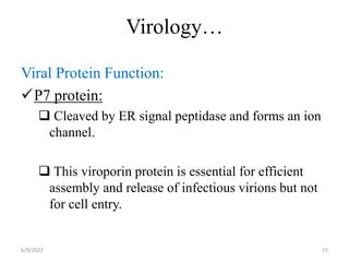 Virology…
Viral Protein Function:
P7 protein:
 Cleaved by ER signal peptidase and forms an ion
channel.
 This viroporin protein is essential for efficient
assembly and release of infectious virions but not
for cell entry.
6/9/2022 15
 