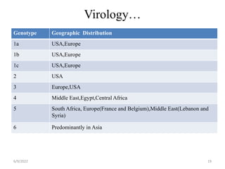 Virology…
Genotype Geographic Distribution
1a USA,Europe
1b USA,Europe
1c USA,Europe
2 USA
3 Europe,USA
4 Middle East,Egypt,Central Africa
5 South Africa, Europe(France and Belgium),Middle East(Lebanon and
Syria)
6 Predominantly in Asia
6/9/2022 19
 