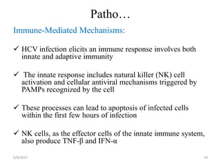 Patho…
Immune-Mediated Mechanisms:
 HCV infection elicits an immune response involves both
innate and adaptive immunity
 The innate response includes natural killer (NK) cell
activation and cellular antiviral mechanisms triggered by
PAMPs recognized by the cell
 These processes can lead to apoptosis of infected cells
within the first few hours of infection
 NK cells, as the effector cells of the innate immune system,
also produce TNF-β and IFN-α
6/9/2022 34
 
