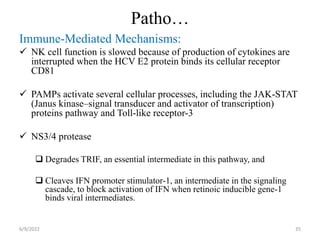 Patho…
Immune-Mediated Mechanisms:
 NK cell function is slowed because of production of cytokines are
interrupted when the HCV E2 protein binds its cellular receptor
CD81
 PAMPs activate several cellular processes, including the JAK-STAT
(Janus kinase‒signal transducer and activator of transcription)
proteins pathway and Toll-like receptor-3
 NS3/4 protease
 Degrades TRIF, an essential intermediate in this pathway, and
 Cleaves IFN promoter stimulator-1, an intermediate in the signaling
cascade, to block activation of IFN when retinoic inducible gene-1
binds viral intermediates.
6/9/2022 35
 