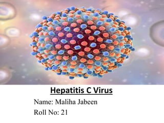 Hepatitis C Virus
Name: Maliha Jabeen
Roll No: 21
 