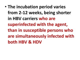 • The incubation period varies
from 2-12 weeks, being shorter
in HBV carriers who are
superinfected with the agent,
than in susceptible persons who
are simultaneously infected with
both HBV & HDV
 