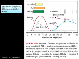 William Obst, 24th edition
Setelah infeksi sembuh,
10% dapat terinfeksi
kronis
dr. Aldika Akbar SpOG
 