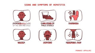 SIGNS AND SYMPTOMS OF HEPATITIS
PRANAVI UPPULURI
DARK STOOL
JAUNDICE DIARRHOEA
VOMITINGS
NAUSEA ABDOMINAL PAIN
 