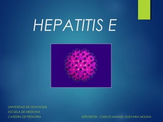 HEPATITIS E



UNIVESIDAD DE GUAYAQUIL
ESCUELA DE MEDICINA
CATEDRA DE PEDIATRIA      EXPOSITOR : CARLOS MANUEL GUEVARA MOLINA
 
