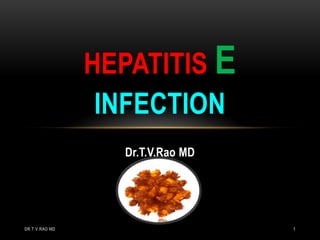 HEPATITIS E
                 INFECTION
                  Dr.T.V.Rao MD




DR.T.V.RAO MD                     1
 