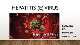 HEPATITIS (E)VIRUS
PREPARED
BY:-
SOURABH
GROUP 323-A
 