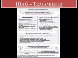 IHAG – TRATAMIENTO
 
