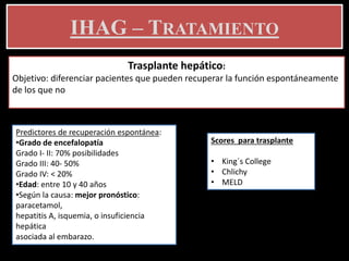 Trasplante hepático:
Objetivo: diferenciar pacientes que pueden recuperar la función espontáneamente
de los que no
Predictores de recuperación espontánea:
•Grado de encefalopatía
Grado I- II: 70% posibilidades
Grado III: 40- 50%
Grado IV: < 20%
•Edad: entre 10 y 40 años
•Según la causa: mejor pronóstico:
paracetamol,
hepatitis A, isquemia, o insuficiencia
hepática
asociada al embarazo.
Scores para trasplante
• King´s College
• Chlichy
• MELD
IHAG – TRATAMIENTO
 