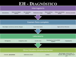 EH - DIAGNÓSTICO
Otros Estudios complementarios:
Si Ascitis: paracentesis Sedimento urinario Cultivos
Neuroimagen: ¿otras causas, 1°
episodio, deficit neurológico focal?
¿PL?
Laboratorio
Hemograma Ionograma, calcio Función renal
Hepatograma, funcionalidad
hepática
Coagulograma
Examen físico completo
Neurológico: conciencia, asterixis, Glasgow Tacto rectal, Ascitis Signos de foco infeccioso
Interrogatorio
Antecedentes
Status neurológico
habitual
Dxs /episodios
previos
Medicación, drogas
Ritmo catártico,
melena
Fiebre, equivalentes
febriles
Síntomas asociados
 