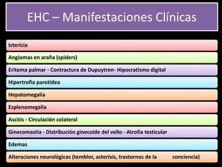 Ictericia
Angiomas en araña (spiders)
Eritema palmar - Contractura de Dupuytren- Hipocratismo digital
Hipertrofia parotídea
Hepatomegalia
Esplenomegalia
Ascitis - Circulación colateral
Ginecomastia - Distribución ginecoide del vello - Atrofia testicular
Edemas
Alteraciones neurológicas (temblor, asterixis, trastornos de la conciencia)
EHC – Manifestaciones Clínicas
 