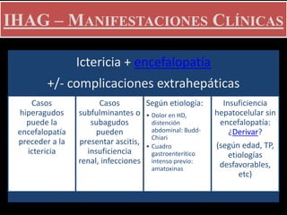 Ictericia + encefalopatía
+/- complicaciones extrahepáticas
Casos
hiperagudos
puede la
encefalopatía
preceder a la
ictericia
Casos
subfulminantes o
subagudos
pueden
presentar ascitis,
insuficiencia
renal, infecciones
Según etiología:
• Dolor en HD,
distención
abdominal: Budd-
Chiari
• Cuadro
gastroenterítico
intenso previo:
amatoxinas
Insuficiencia
hepatocelular sin
encefalopatía:
¿Derivar?
(según edad, TP,
etiologías
desfavorables,
etc)
IHAG – MANIFESTACIONES CLÍNICAS
 