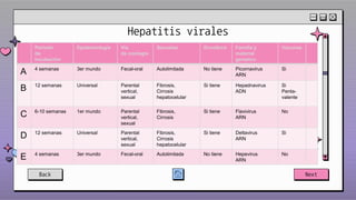 Hepatitis virales
Back Next
Período
de
incubación
Epidemiologia Vía
de contagio
Secuelas Envoltura Familia y
material
genetico
Vacunas
A 4 semanas 3er mundo Fecal-oral Autolimitada No tiene Picornavirus
ARN
Si
B 12 semanas Universal Parental
vertical,
sexual
Fibrosis,
Cirrosis
hepatocelular
Si tiene Hepadnavirus
ADN
Si
Penta-
valente
C 6-10 semanas 1er mundo Parental
vertical,
sexual
Fibrosis,
Cirrosis
Si tiene Flavivirus
ARN
No
D 12 semanas Universal Parental
vertical,
sexual
Fibrosis,
Cirrosis
hepatocelular
Si tiene Deltavirus
ARN
Si
E 4 semanas 3er mundo Fecal-oral Autolimitada No tiene Hepevirus
ARN
No
 