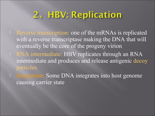  Reverse transcription: one of the mRNAs is replicated
with a reverse transcriptase making the DNA that will
eventually be the core of the progeny virion
 RNA intermediate: HBV replicates through an RNA
intermediate and produces and release antigenic decoy
particles.
 Integration: Some DNA integrates into host genome
causing carrier state
 
