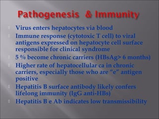  Virus enters hepatocytes via blood
 Immune response (cytotoxic T cell) to viral
antigens expressed on hepatocyte cell surface
responsible for clinical syndrome
 5 % become chronic carriers (HBsAg> 6 months)
 Higher rate of hepatocellular ca in chronic
carriers, especially those who are “e” antigen
positive
 Hepatitis B surface antibody likely confers
lifelong immunity (IgG anti-HBs)
 Hepatitis B e Ab indicates low transmissibility
 