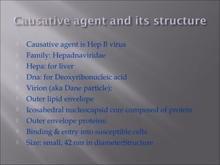  Causative agent is Hep B virus
 Family: Hepadnaviridae
 Hepa: for liver
 Dna: for Deoxyribonucleic acid
 Virion (aka Dane particle):
 Outer lipid envelope
 Icosahedral nucleocapsid core composed of protein
 Outer envelope proteins:
 Binding & entry into susceptible cells
 Size: small, 42 nm in diameterStructure
 