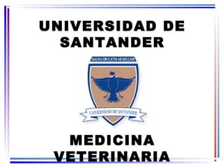 UNIVERSIDAD DE
SANTANDER
MEDICINA
VETERINARIA
 