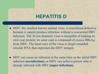 HEPATITIS D
 HDV, the smallest known animal virus, is considered defective
because it cannot produce infection without a concurrent HBV
infection. The 36 nm diameter virus is incapable of making its
own coat protein; its outer coat is composed of excess HBsAg
from HBV. The inner core of the virus is single-stranded
circular RNA that expresses the HDV antigen.
 HDV can cause an infection at the same time as the initial HBV
infection (co-infection), or HDV can infect a person who is
already infected with HBV (super-infection).
 