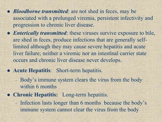  Bloodborne transmitted: are not shed in feces, may be
associated with a prolunged viremia, persistent infectivity and
progression to chronic liver disease.
 Enterically transmitted: these viruses survive exposure to bile,
are shed in feces, produce infections that are generally self-
limited although they may cause severe hepatitis and acute
liver failure; neither a viremic nor an intestinal carrier state
occurs and chronic liver disease never develops.
 Acute Hepatitis: Short-term hepatitis.
– Body’s immune system clears the virus from the body
within 6 months
 Chronic Hepatitis: Long-term hepatitis.
– Infection lasts longer than 6 months because the body’s
immune system cannot clear the virus from the body
 