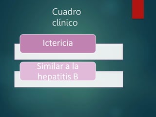 Cuadro
clínico
Ictericia
Similar a la
hepatitis B
 