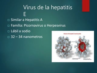 Virus de la hepatitis
E
 Similar a Hepatitis A
 Família: Picornavirus o Herpesvirus
 Lábil a sodio
 32 – 34 nanometros
 