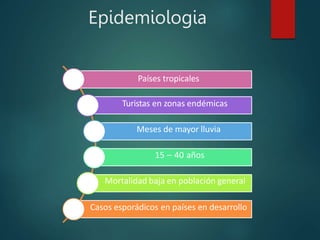 Epidemiologia
Países tropicales
Turistas en zonas endémicas
Meses de mayor lluvia
15 – 40 años
Mortalidad baja en población general
Casos esporádicos en países en desarrollo
 