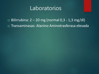 Laboratorios
 Bilirrubina: 2 – 20 mg (normal 0,3 - 1,3 mg/dl)
 Transaminasas: Alanino Aminotrasferasa elevada
 